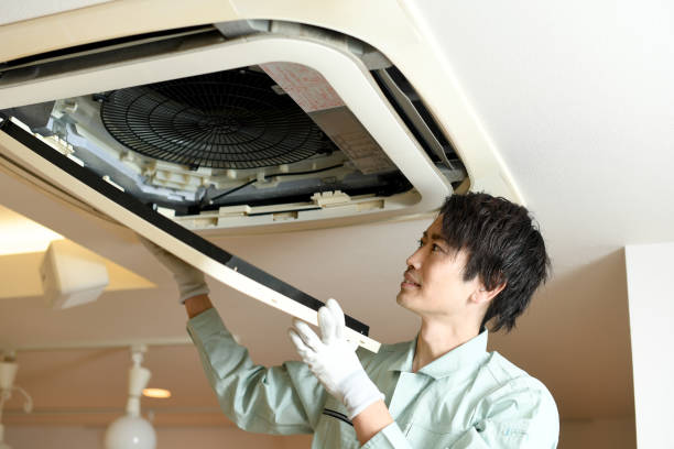 Best Home Air Vent Cleaning  in Alturas, FL